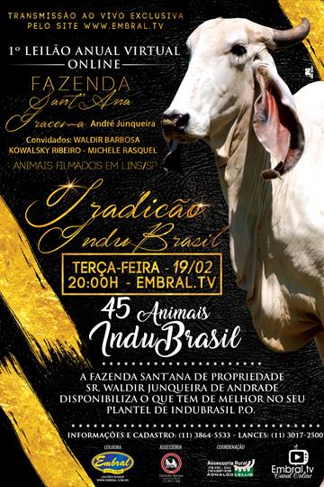 1º LEILÃO ANUAL ONLINE TRADIÇÃO INDUBRASIL<BR>FAZENDA SANTANNA & FAZENDA IRACEMA & CONVIDADOS 1º LEILÃO ANUAL ONLINE TRADIÇÃO INDUBRASIL<BR>FAZENDA SANTANNA & FAZENDA IRACEMA & CONVIDADOS