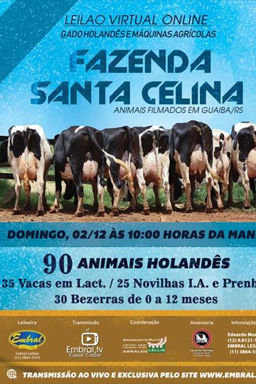 LEILÃO ON LINE | GADO HOLANDÊS E MAQUINAS AGRÍCOLAS | FAZENDA SANTA CELINA LEILÃO ON LINE | GADO HOLANDÊS E MAQUINAS AGRÍCOLAS | FAZENDA SANTA CELINA