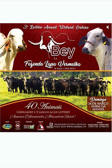 3º LEILAO ON LINE BEY | FAZENDA LAPA VERMELHA<BR>76 ANOS DE CRIACAO SELECAO 3º LEILAO ON LINE BEY | FAZENDA LAPA VERMELHA<BR>76 ANOS DE CRIACAO SELECAO