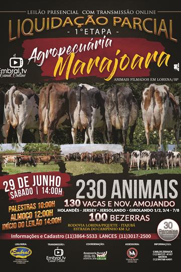 9º LEILÃO AGROPECUÁRIA MARAJOARA | EDICAO VIRTUAL<br>PONTO DE APOIO NA FAZENDA 9º LEILÃO AGROPECUÁRIA MARAJOARA | EDICAO VIRTUAL<br>PONTO DE APOIO NA FAZENDA