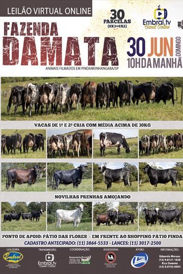 LEILÃO VIRTUAL ON LINE | FAZENDA DA MATA LEILÃO VIRTUAL ON LINE | FAZENDA DA MATA