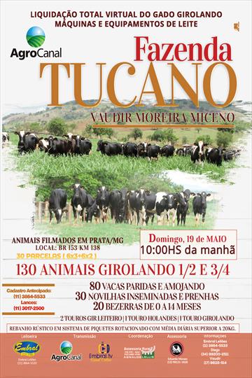 LIQUIDAÇÃO TOTAL VIRTUAL DO GADO GIROLANDO, MÁQUINAS E EQUIPAMENTOS DE LEITE <br>FAZENDA TUCANO LIQUIDAÇÃO TOTAL VIRTUAL DO GADO GIROLANDO, MÁQUINAS E EQUIPAMENTOS DE LEITE <br>FAZENDA TUCANO