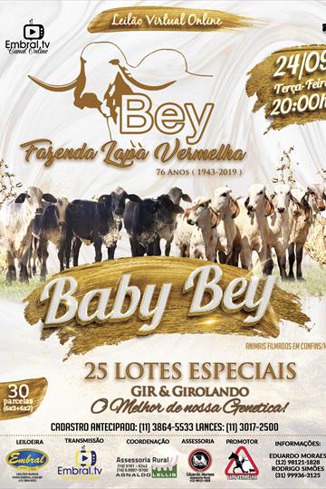 LEILÃO ON LINE | BABY BEY - FAZENDA LAPA VERMELHA LEILÃO ON LINE | BABY BEY - FAZENDA LAPA VERMELHA