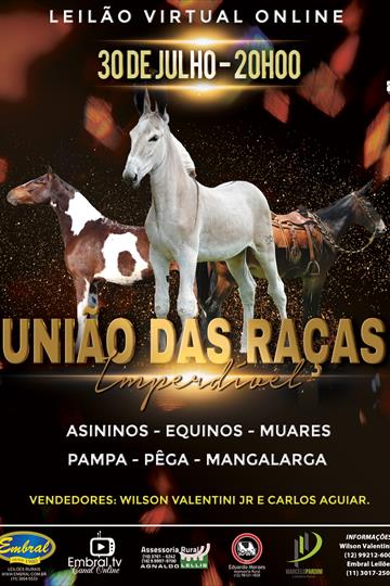 LEILÃO ON LINE | UNIÃO DAS RAÇAS ASININOS - EQUINOS - MUARES - PAMPA - PEGA - MANGALARGA LEILÃO ON LINE | UNIÃO DAS RAÇAS ASININOS - EQUINOS - MUARES - PAMPA - PEGA - MANGALARGA