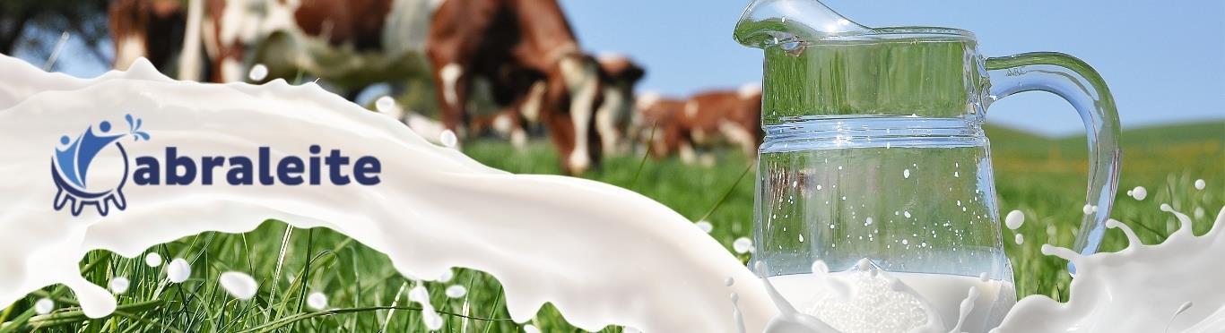 Abraleite