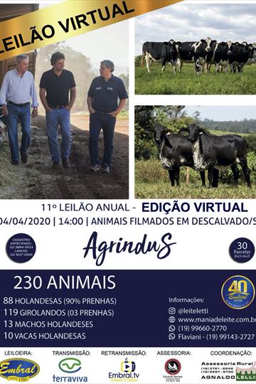 11º LEILÃO ANUAL AGRINDUS 11º LEILÃO ANUAL AGRINDUS