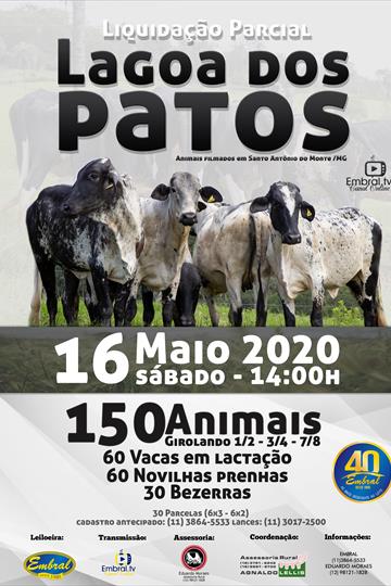 LEILÃO ON LINE | LIQUIDAÇÃO PARCIAL FAZENDA LAGOA DOS PATOS LEILÃO ON LINE | LIQUIDAÇÃO PARCIAL FAZENDA LAGOA DOS PATOS