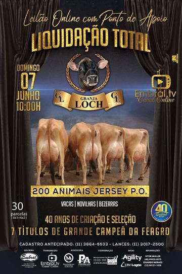 LEILÃO ON LINE LIQUIDAÇÃO GRANJA LOCH<BR> LEILÃO ON LINE LIQUIDAÇÃO GRANJA LOCH<BR>