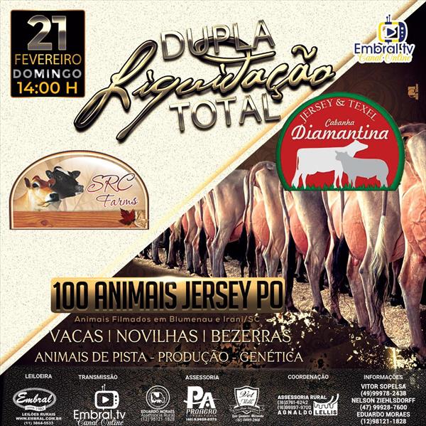 DUPLA LIQUIDAÇÃO TOTAL ON LINE GADO JERSEY CABANHA DIAMANTINA & SRC FARMS DUPLA LIQUIDAÇÃO TOTAL ON LINE GADO JERSEY CABANHA DIAMANTINA & SRC FARMS