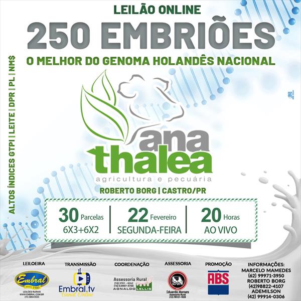 LEILÃO ON LINE EMBRIÕES ANA THALEA AGRICULTURA E PECUARIA LEILÃO ON LINE EMBRIÕES ANA THALEA AGRICULTURA E PECUARIA