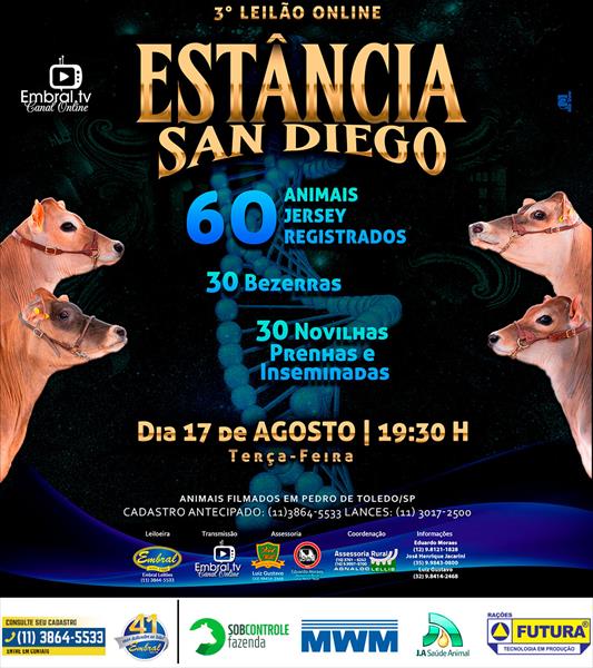 3º LEILÃO ON LINE ESTÂNCIA SAN DIEGO 3º LEILÃO ON LINE ESTÂNCIA SAN DIEGO