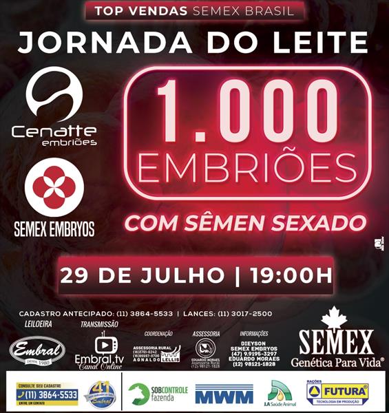 TOP VENDAS SEMEX BRASIL - JORNADA DO LEITE<BR>1.000 EMBRIÕES COM SEMEN SEXADO TOP VENDAS SEMEX BRASIL - JORNADA DO LEITE<BR>1.000 EMBRIÕES COM SEMEN SEXADO