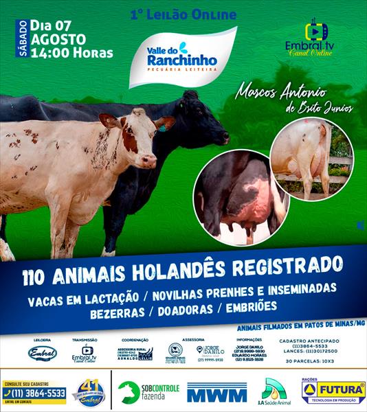 1º LEILÃO ON LINE VALLE DO RANCHINHO 1º LEILÃO ON LINE VALLE DO RANCHINHO