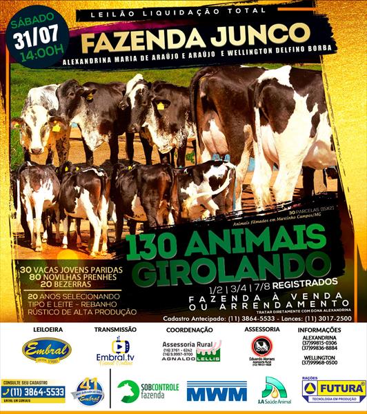 LIQUIDAÇÃO TOTAL GADO GIROLANDO | FAZENDA JUNCO LIQUIDAÇÃO TOTAL GADO GIROLANDO | FAZENDA JUNCO