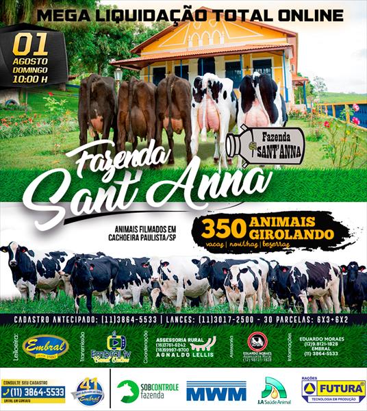 MEGA LIQUIDAÇÃO TOTAL ON LINE FAZENDA SANT´ANNA MEGA LIQUIDAÇÃO TOTAL ON LINE FAZENDA SANT´ANNA