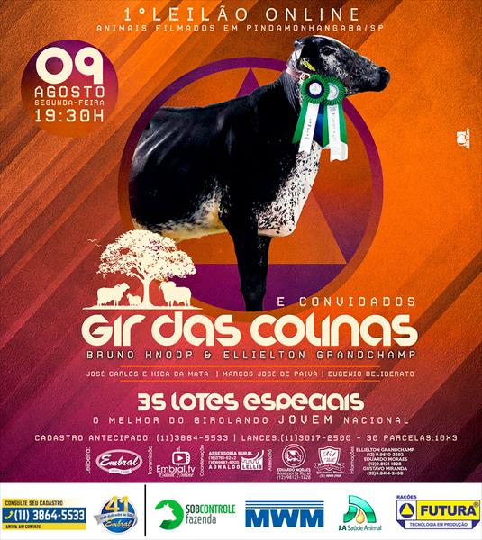 1º LEILÃO ON LINE GIR DAS COLINAS E CONVIDADOS 1º LEILÃO ON LINE GIR DAS COLINAS E CONVIDADOS