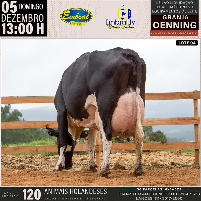 Embral Leilões - Especializada em Leilões do Segmento Rural