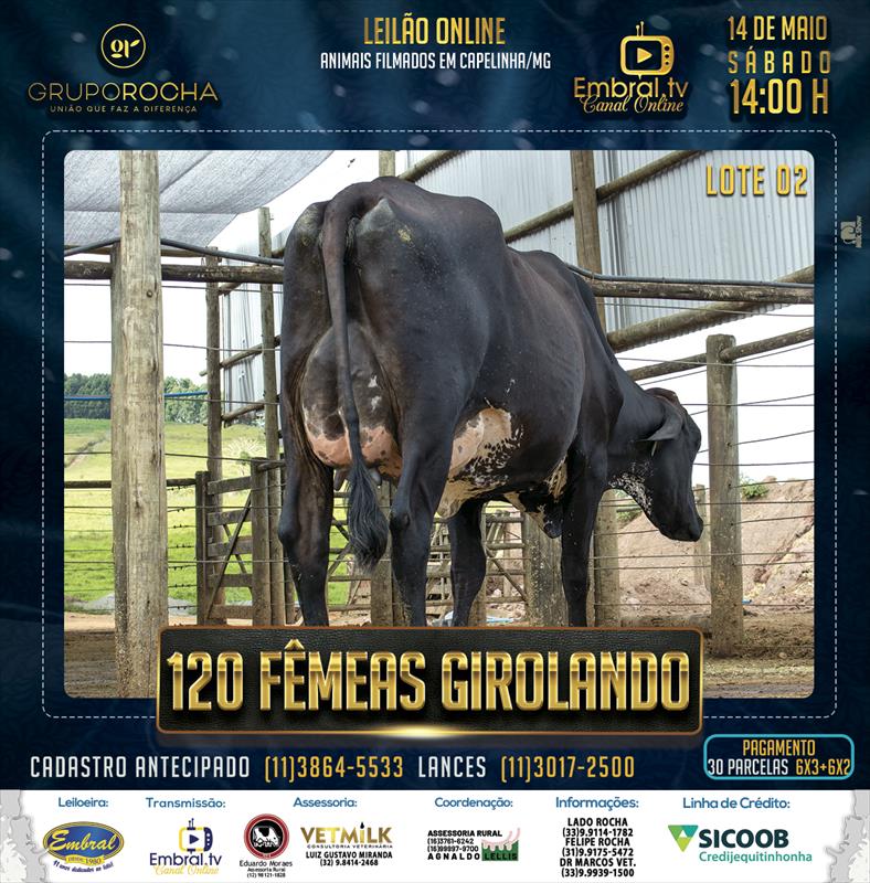 Embral Leilões - Especializada em Leilões do Segmento Rural