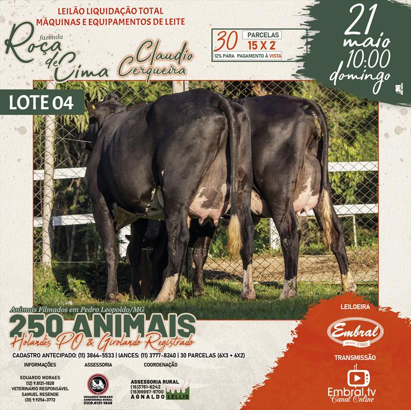 Embral Leilões - Especializada em Leilões do Segmento Rural