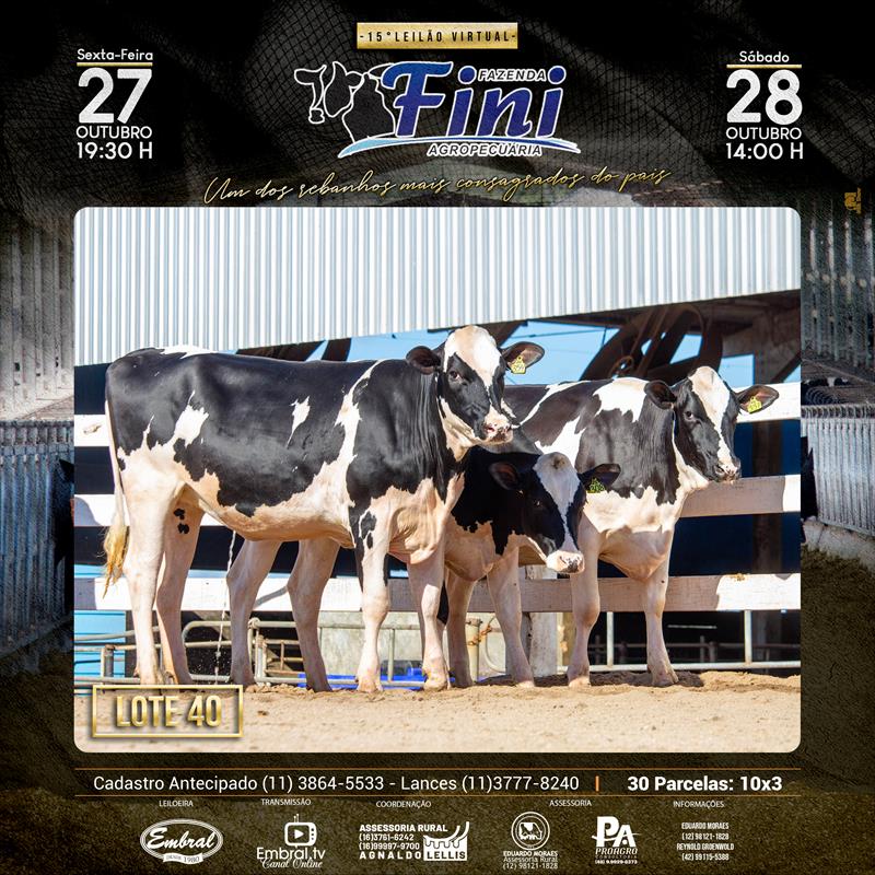 Embral Leilões - Especializada em Leilões do Segmento Rural