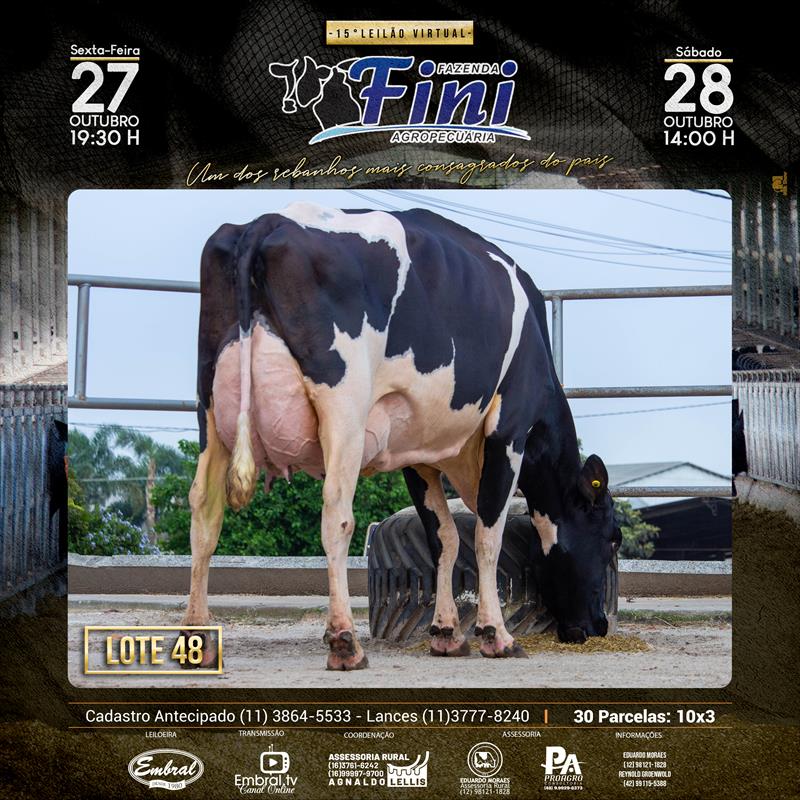 Embral Leilões - Especializada em Leilões do Segmento Rural