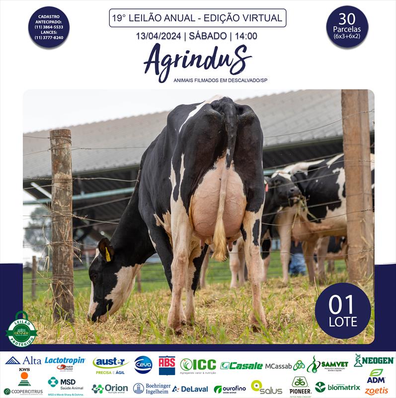 Embral Leilões - Especializada em Leilões do Segmento Rural