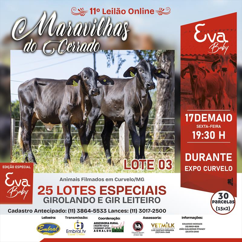 Embral Leilões - Especializada em Leilões do Segmento Rural