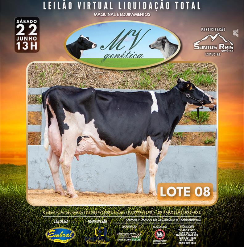 Embral Leilões - Especializada em Leilões do Segmento Rural