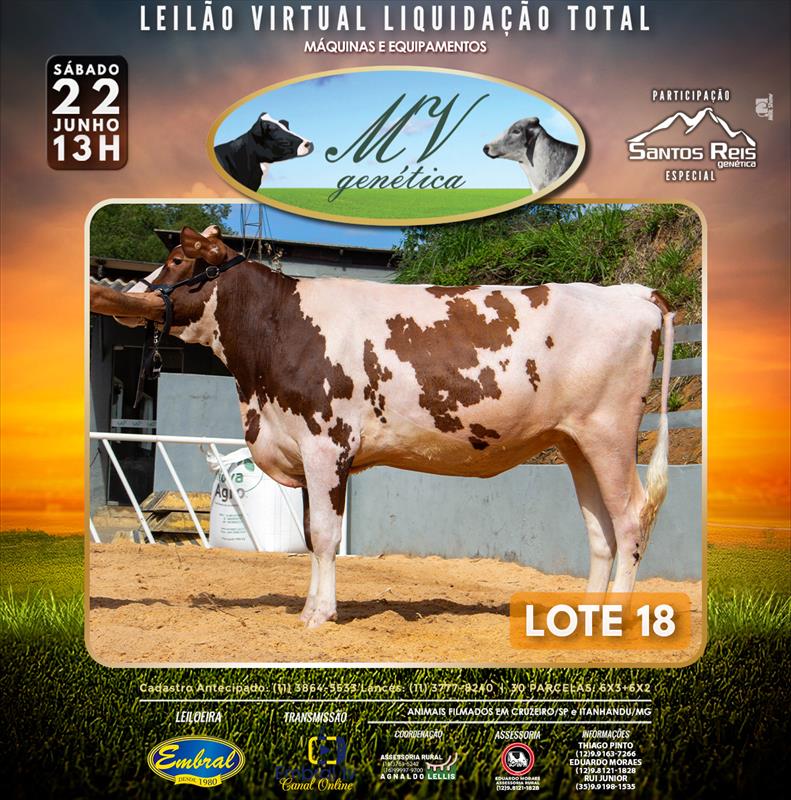 Embral Leilões - Especializada em Leilões do Segmento Rural