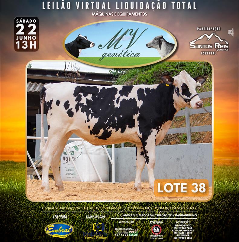 Embral Leilões - Especializada em Leilões do Segmento Rural