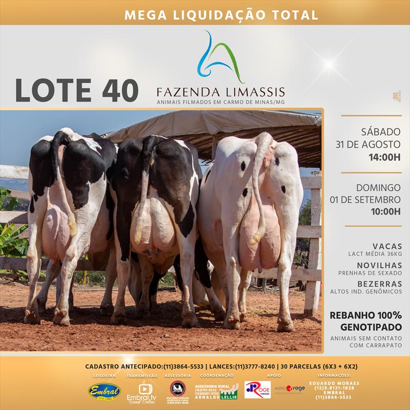 Embral Leilões - Especializada em Leilões do Segmento Rural