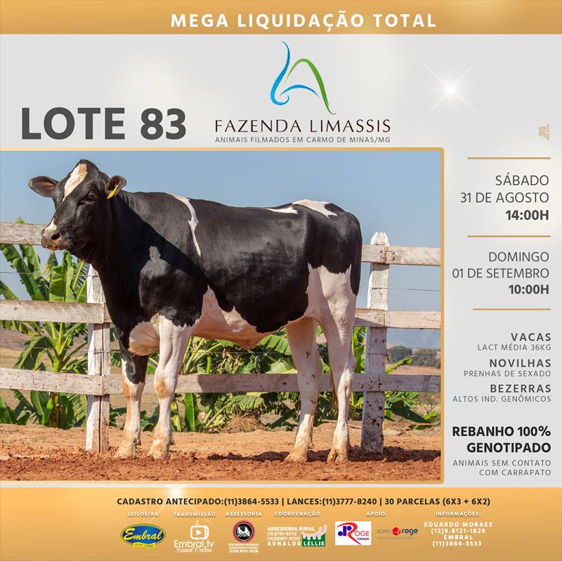 Embral Leilões - Especializada em Leilões do Segmento Rural