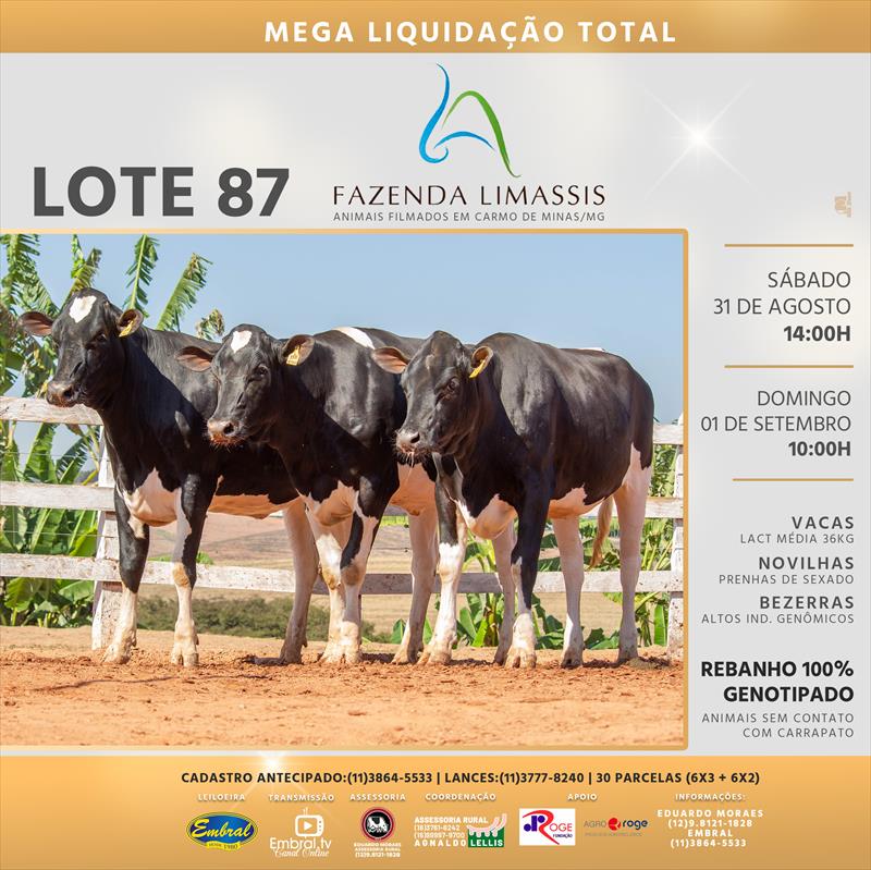 Embral Leilões - Especializada em Leilões do Segmento Rural