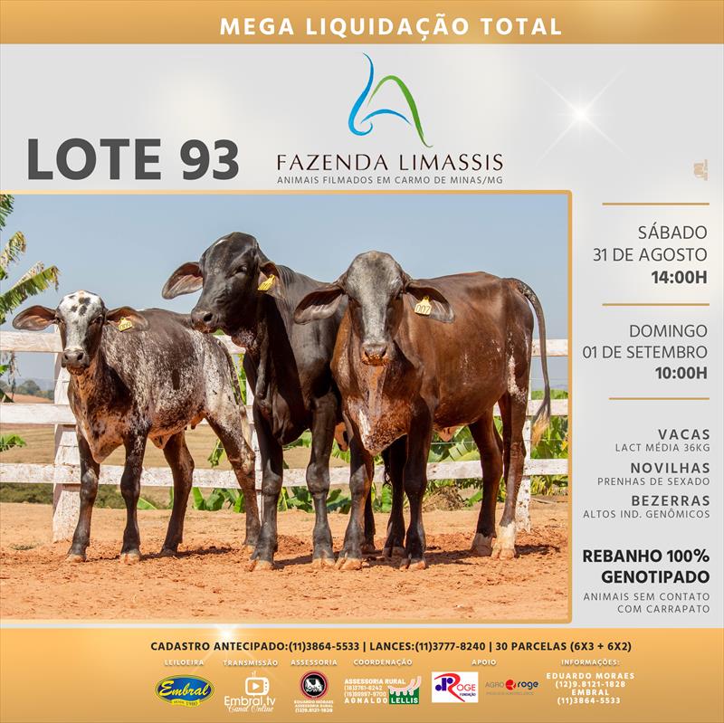 Embral Leilões - Especializada em Leilões do Segmento Rural