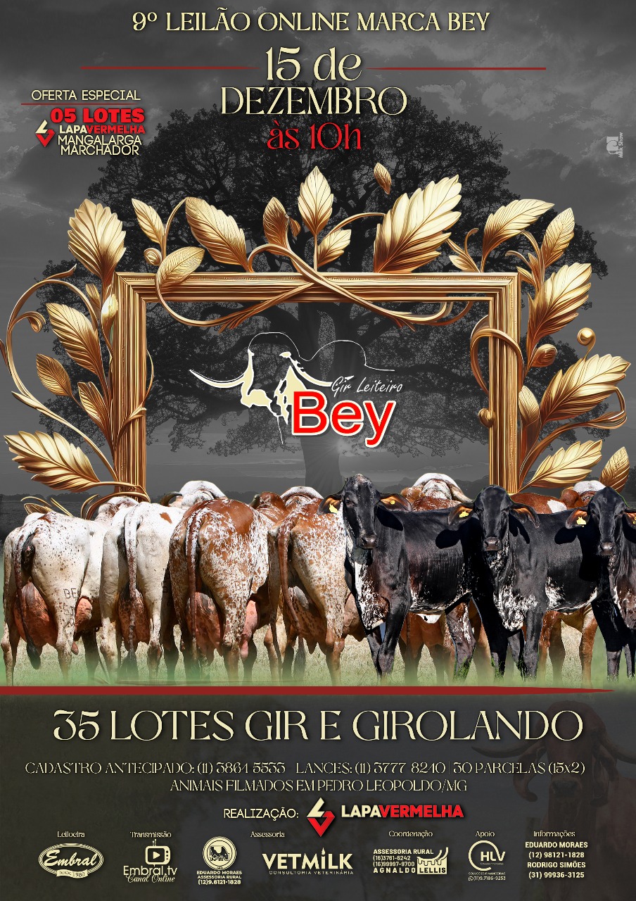 9º LEILÃO ONLINE MARCA BEY