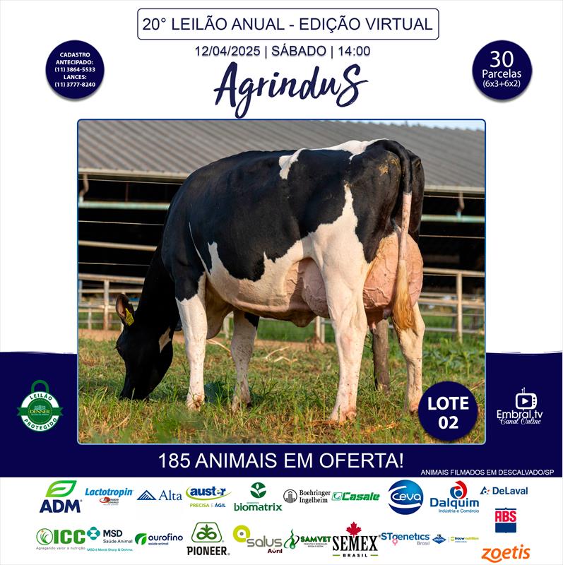 Embral Leilões - Especializada em Leilões do Segmento Rural