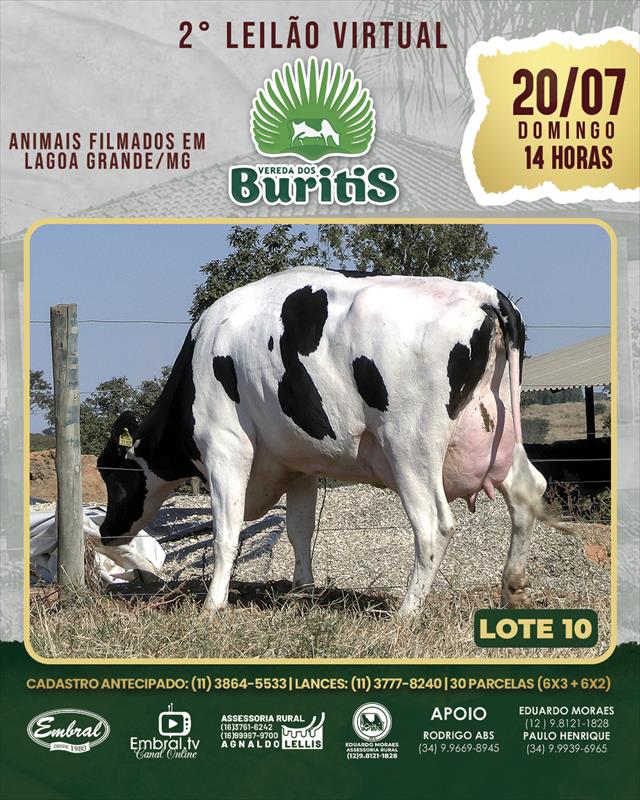 Embral Leilões - Especializada em Leilões do Segmento Rural