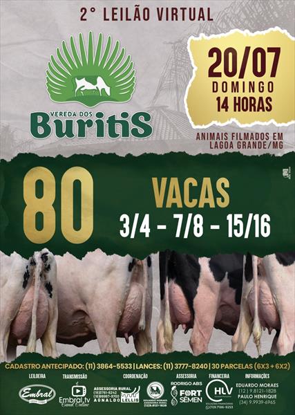 2º LEILÃO VIRTUAL VEREDA DOS BURITIS | GADO GIROLANDO 2º LEILÃO VIRTUAL VEREDA DOS BURITIS | GADO GIROLANDO