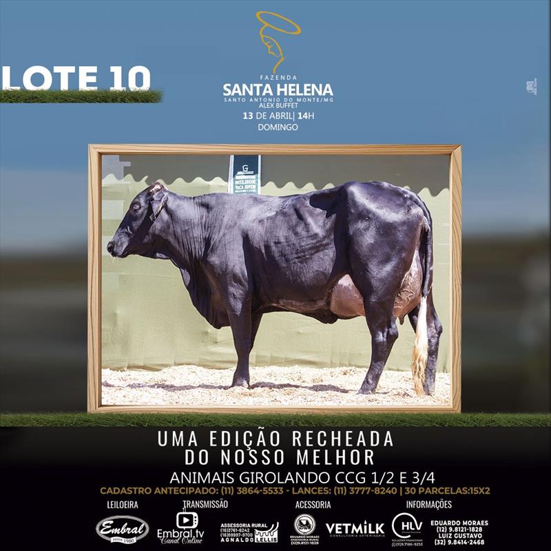 Embral Leilões - Especializada em Leilões do Segmento Rural