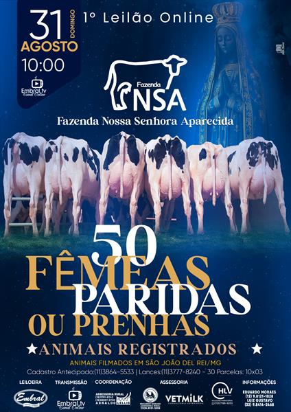 1º LEILÃO ONLINE FAZENDA NOSSA SENHORA APARECIDA | GADO HOLANDÊS