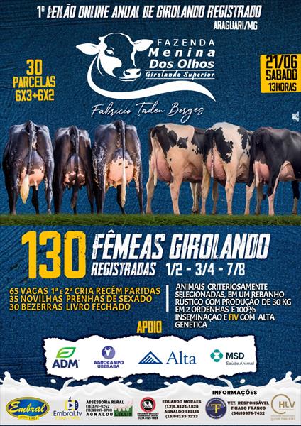 1º LEILÃO ONLINE FAZENDA MENINA DOS OLHOS | GADO GIROLANDO 1/2, 3/4 E 7/8