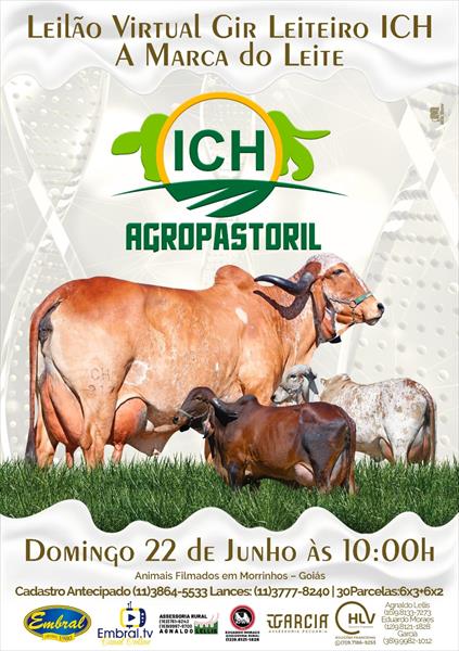 LEILÃO VIRTUAL ICH AGROPASTORIL | GADO GIR LEITEIRO