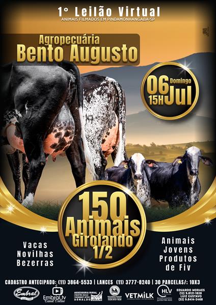 1º LEILÃO VIRTUAL AGROPECUARIA BENTO AUGUSTO | GADO GIROLANDO