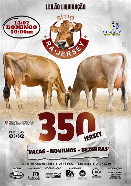LEILÃO LIQUIDAÇÃO SITIO RA JERSEY | GADO JERSEY