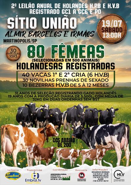 2º LEILÃO ANUAL SÍTIO UNIÃO | GADO HOLANDÊS PO HPB E HVB