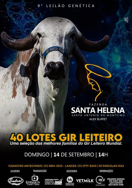 9º LEILÃO GENÉTICA FAZENDA SANTA HELENA | GADO GIR LEITEIRO 9º LEILÃO GENÉTICA FAZENDA SANTA HELENA | GADO GIR LEITEIRO