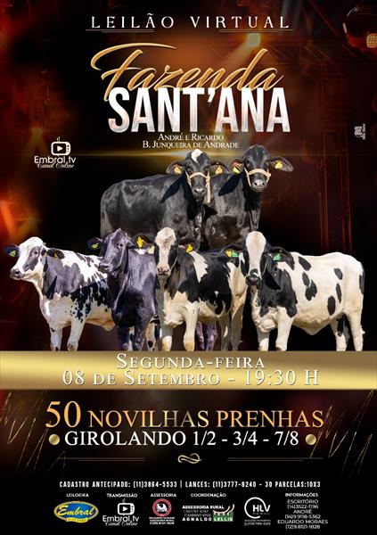 LEILÃO VIRTUAL FAZENDA SANTANA | GADO GIROLANDO 1/2, 3/4 E 7/8 LEILÃO VIRTUAL FAZENDA SANTANA | GADO GIROLANDO 1/2, 3/4 E 7/8
