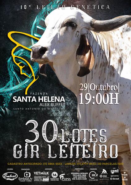 10º LEILÃO GENETICA FAZENDA SANTA HELENA | GIR LEITEIRO 10º LEILÃO GENETICA FAZENDA SANTA HELENA | GIR LEITEIRO