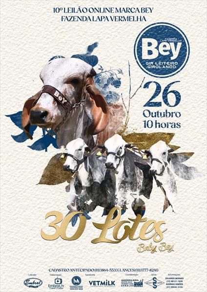 10º LEILÃO ONLINE BABY BEY | GADO GIROLANDO E GIR LEITEIRO