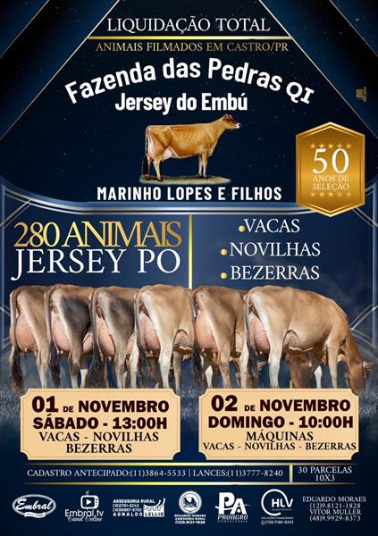 LIQUIDAÇÃO TOTAL FAZENDA DAS PEDRAS QI | JERSEY DO EMBU | GADO JERSEY - MÁQUINAS E EQUIPAMENTOS DE LEITE LIQUIDAÇÃO TOTAL FAZENDA DAS PEDRAS QI | JERSEY DO EMBU | GADO JERSEY - MÁQUINAS E EQUIPAMENTOS DE LEITE